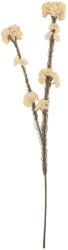 Clayre & Eef Floare artificiala alba maro 6x6x58 cm (6PL0399W)