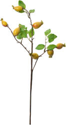 Clayre & Eef Crenguta fructe padure galbene verzi 10x8x50 cm (6PL0390Y)