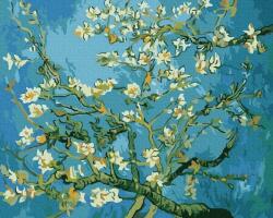 iPicasso Set pictura pe numere, cu sasiu, Ramuri de migdal inflorit - van Gogh, 40x50 cm (PC4050259)