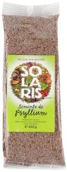 Solaris Seminte de psyllium, 100g, Solaris