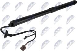 NTY Amortizor portbagaj NTY AE-RE-075 (AE-RE-075)