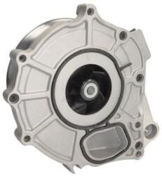 THERMOTEC Pompă de apă, răcire motor THERMOTEC WP-SC134 (WP-SC134)
