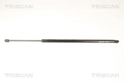 TRISCAN Amortizor portbagaj TRISCAN 8710 29295 (8710 29295) - automobilus