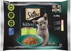 Sheba Kitten teljes értékű nedves eledel kölyökmacskáknak vegyes választék 4 x 85 g (340 g)