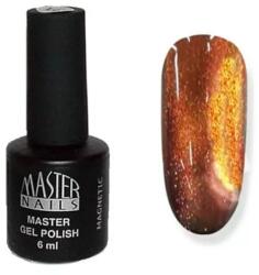 Master Nails Master Nails Zselé lakk 6ml Magnetic 12