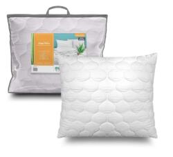 John Cotton Aloe Vera 70 × 90 cm