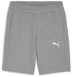PUMA Teamgoal Casuals Shorts (65860833)