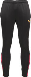 PUMA Team Liga Training Pants (65724257)