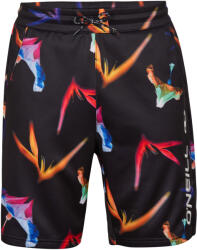 O'Neill Rutile Jogger Shorts (2700014-39014)