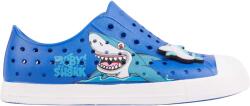 Coqui Star Shark (7101-290-5032)