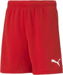 PUMA Teamrise Short Jr (70494301)