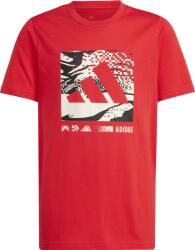 Adidas Camo Graphic (jd4641)