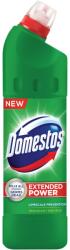 Domestos Dezinfectant WC, 1L, Pine Fresh
