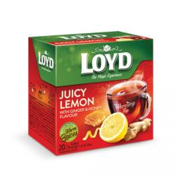 LOYD Gyümölcstea 20x2g Loyd Piramis gyömbér-citrom-méz (1BUD1017)