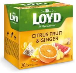 LOYD Gyümölcstea 20x2g Loyd Piramis citrusok-gyömbér (1BUD1024)