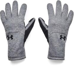 Under Armour STORM FLEECE GLOVES sm