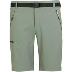 REGATTA Férfi Xert III Stretch rövidnadrág zöld