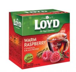 LOYD Gyümölcstea 20x2g Loyd Piramis Warming tea mála-fahéj-feketebors (1BUD1021)