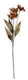 Clayre & Eef Floare artificiala portocalie verde 8x5x60 cm (6PL0403LO)