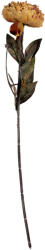 Clayre & Eef Floare artificiala verde portocalie 10x10x65 cm (6PL0405O)