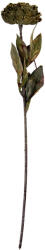 Clayre & Eef Floare artificiala 10x10x65 cm (6PL0405CH)