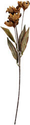Clayre & Eef Floare artificiala verde bej 8x5x60 cm (6PL0403CR)