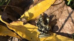  Bronz Ganesha Mini szobor 2