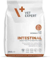 VetExpert Intestinal Cat 250 g