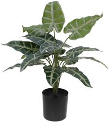  EUROPALMS Caladium, artificial plant, 38cm (82508457)