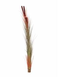  EUROPALMS Reed grass with cattails, light-brown, artificial, 152cm (82505856)