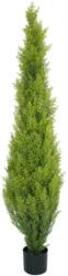 EUROPALMS Cypress, Leyland, artificial plant, 120cm (82606964)