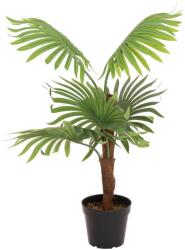  EUROPALMS Fan Palm, artificial plant, 88cm (82509301)