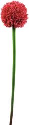  EUROPALMS Allium spray, artificial, red, 55cm (82530568)