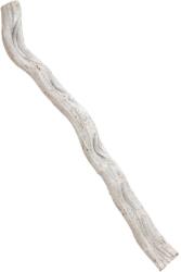 Europalms Cipo rosca liana, dried 70x8cm (83502368)