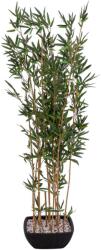  EUROPALMS Bamboo in bowl, artificial, 150cm (82509262)