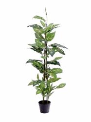  EUROPALMS Dieffenbachia, artificial, 120cm (82508306)