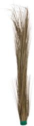  EUROPALMS Reed grass, khaki, artificial, 127cm (82505853)