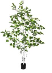  EUROPALMS Birch Tree, artificial plant, 150cm (82505230)