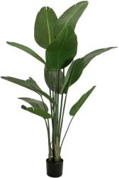  EUROPALMS Strelitzia, artificial plant, 170cm (82540523)