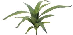  EUROPALMS Aloe (EVA), artificial, green, 66cm (82530571)