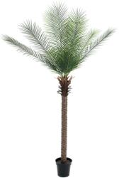  EUROPALMS Phoenix Palm Deluxe, artificial plant, 220cm (82509722)