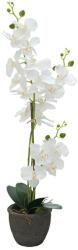  EUROPALMS Orchid, artificial plant, white, 80cm (82530362)