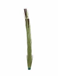  EUROPALMS Reed grass with cattails, light green, artificial, 152cm (82505855)