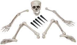 Europalms Halloween Skeleton, multipart (83314675)