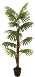  EUROPALMS Fan Palm, artificial plant, 155cm (82509303)
