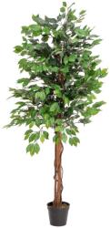  EUROPALMS Ficus Tree Multi Trunk, artificial plant, 150cm (82506125)