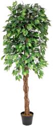  EUROPALMS Ficus Tree Multi Trunk, artificial plant, 180cm (82506126)