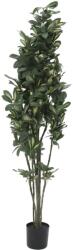  EUROPALMS Schefflera, artificial, 120cm (82600157)