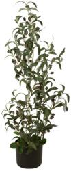  EUROPALMS Olive tree, artificial plant, 90 cm (82506422)