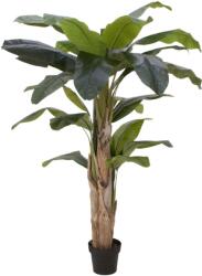  EUROPALMS Banana Tree, artificial plant, 170cm (82509539)